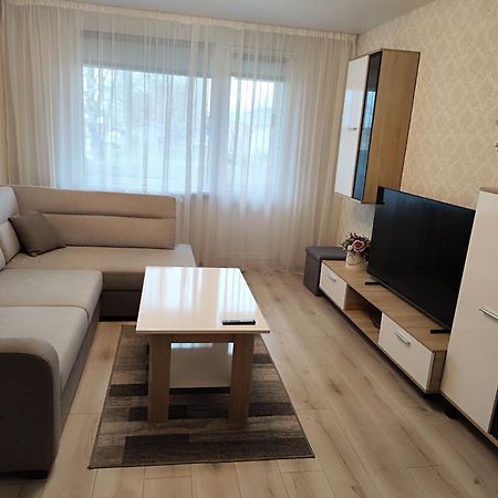 Monica Apartments Panevėžys エクステリア 写真