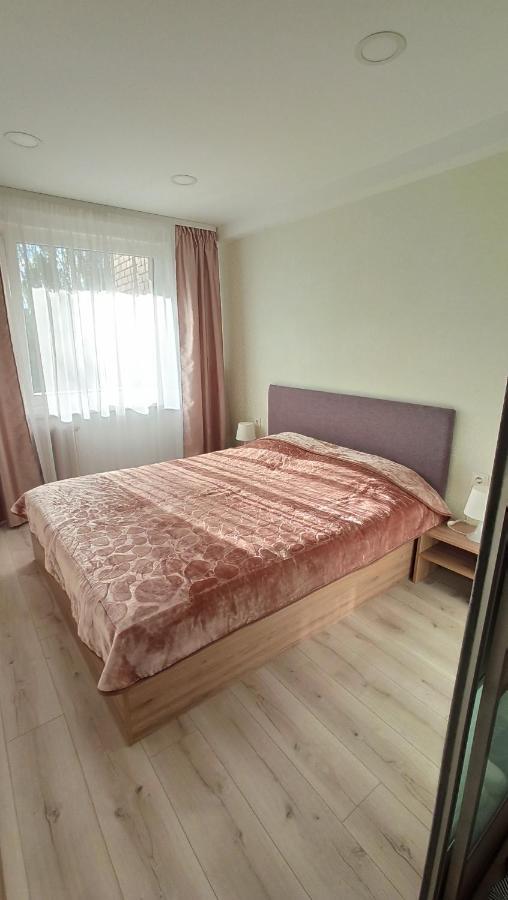 Monica Apartments Panevėžys エクステリア 写真