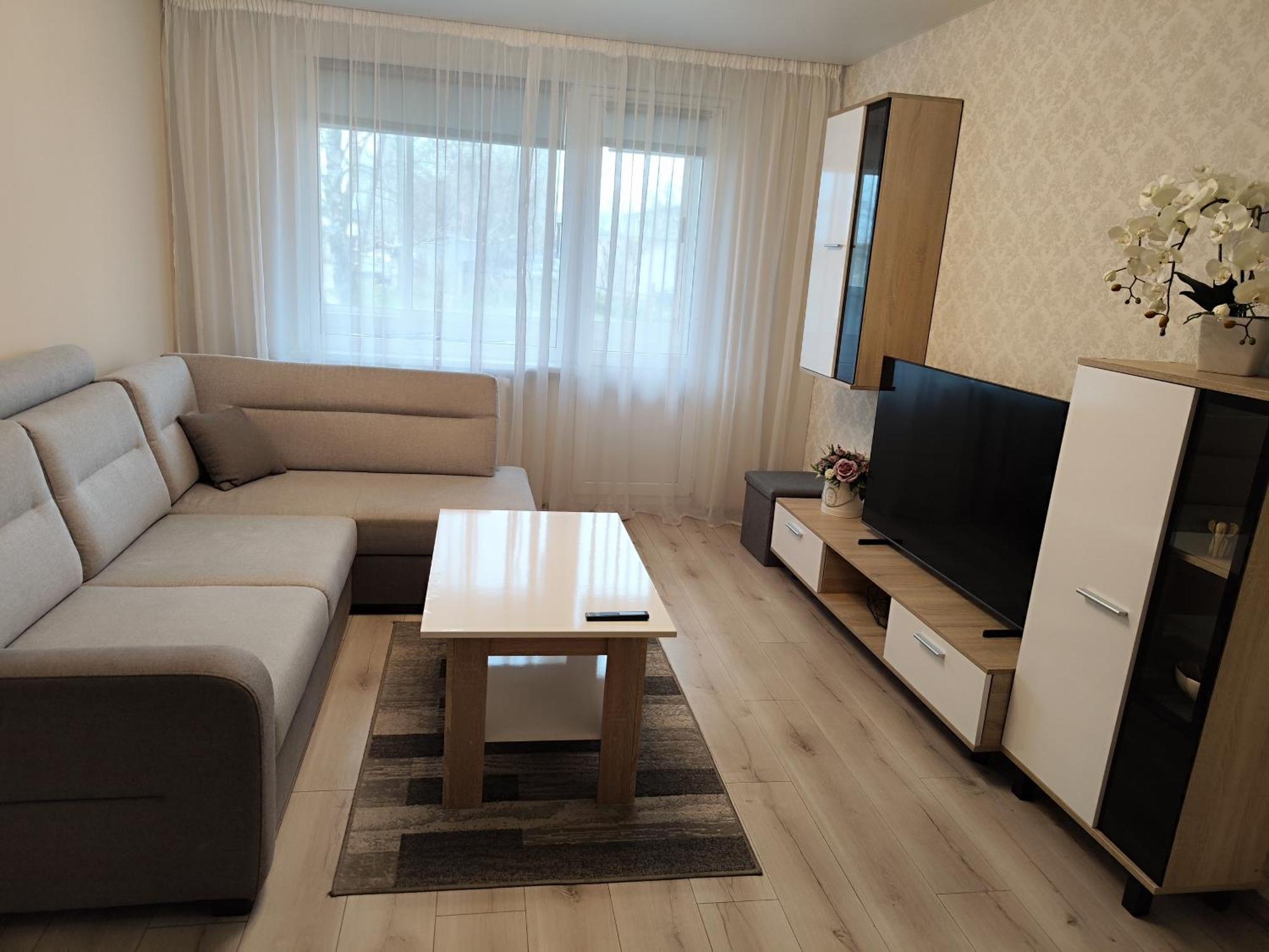 Monica Apartments Panevėžys エクステリア 写真