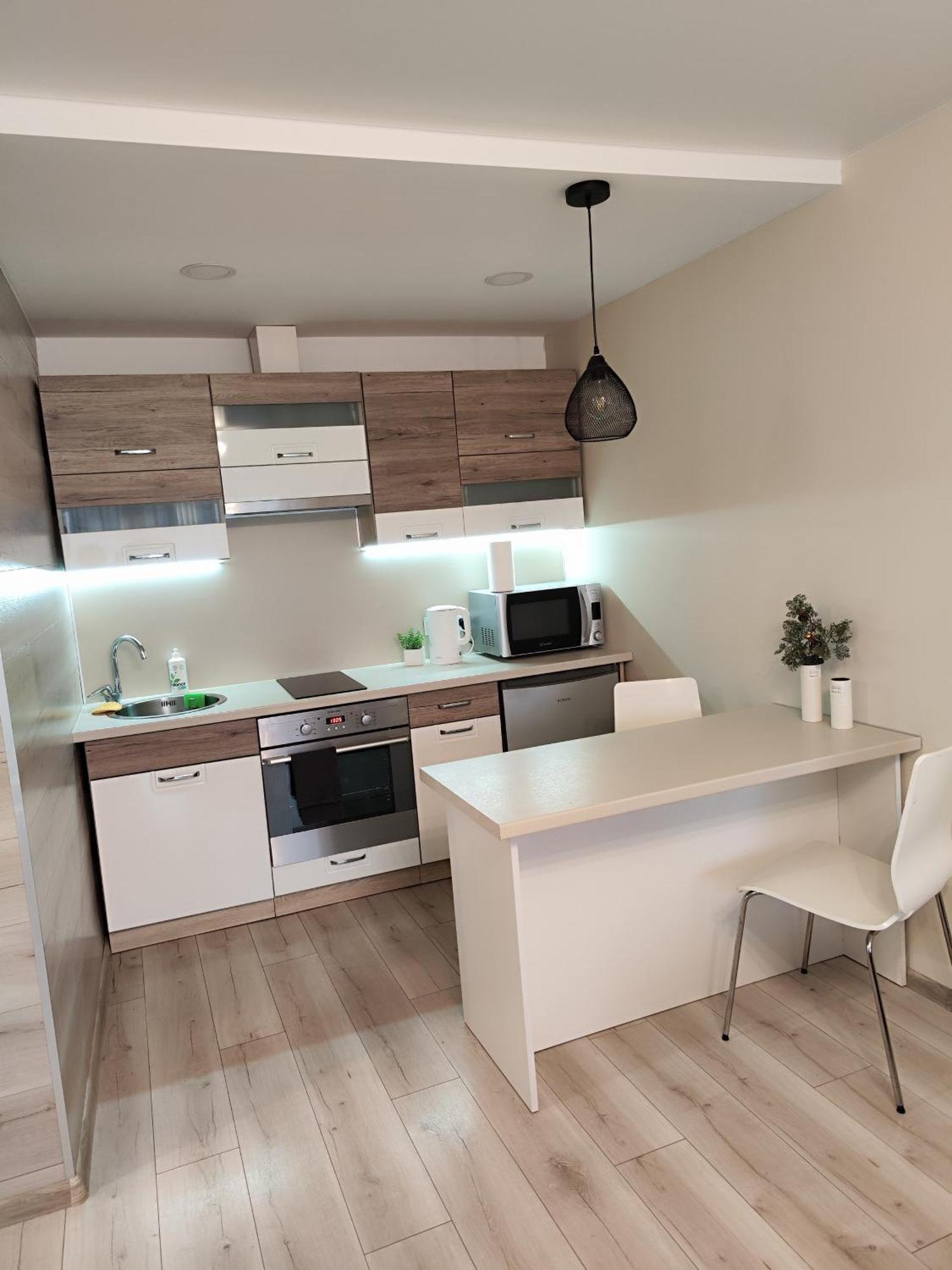 Monica Apartments Panevėžys エクステリア 写真