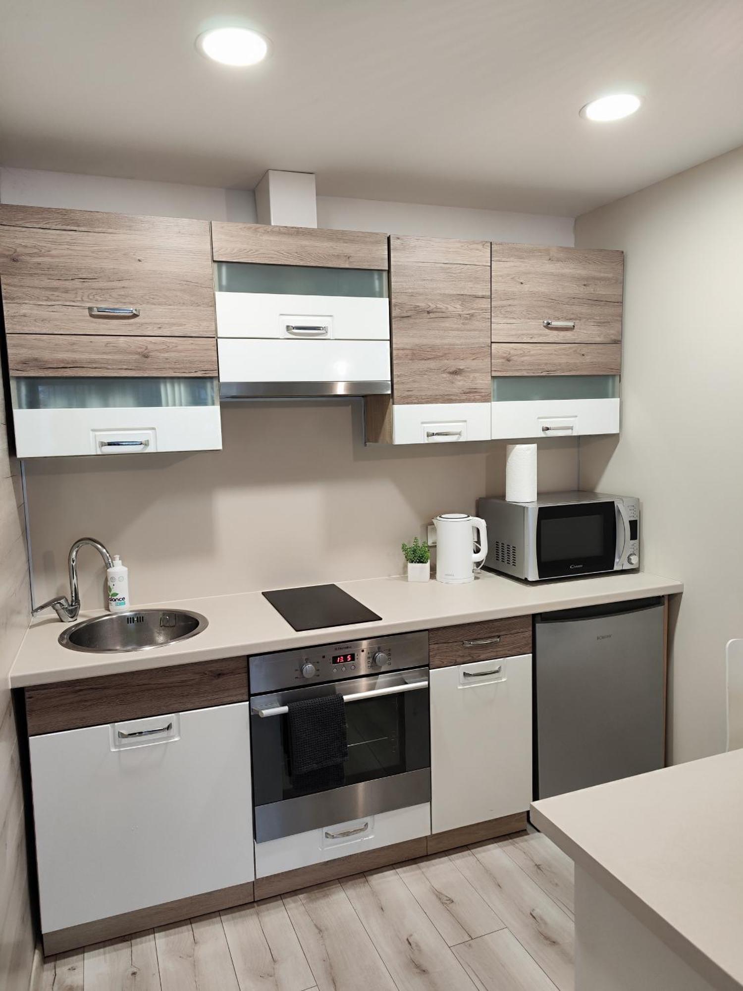 Monica Apartments Panevėžys エクステリア 写真